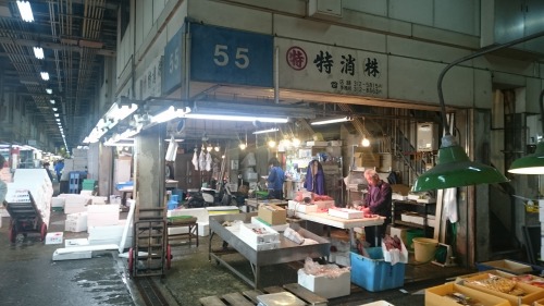 京都魚類特別消費　株式会社